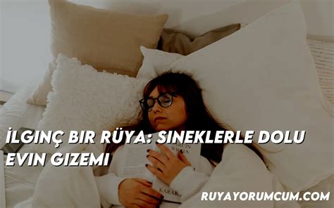 Rüyayı Gören – Bir Gizemli Rüya Dünyasının İçinde Kaybolmak